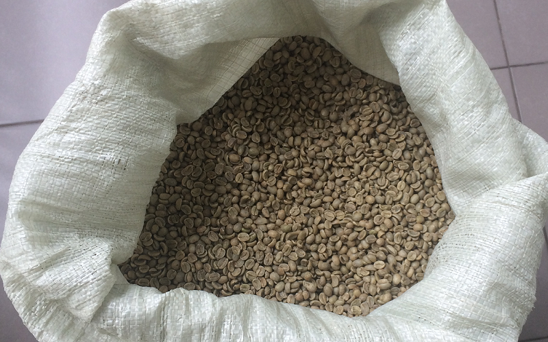 Green Coffee Beans Luwak Civet Rumacoffee